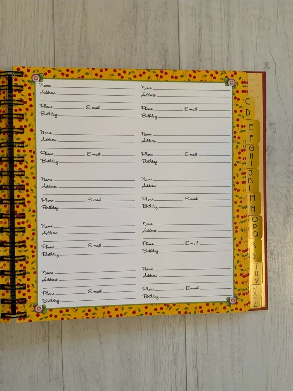 Mary Engelbreit Greeting Card Organizer & Address Book